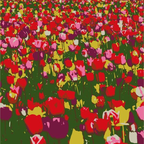 Tulips Thumbnail