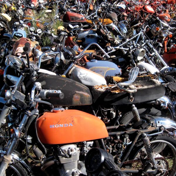 bikeyard bycogdog Thumbnail